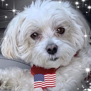 Meet your Posher, Frances